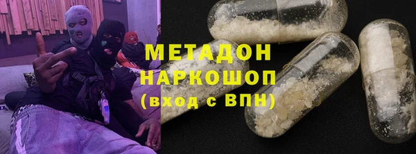 прущие грибы Наволоки