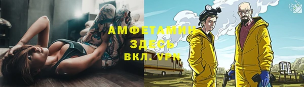 прущие грибы Наволоки