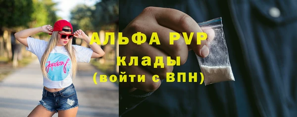 PSILOCYBIN Навашино