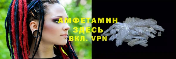 прущие грибы Наволоки