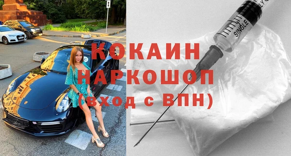 прущие грибы Наволоки