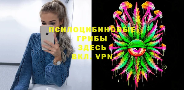 PSILOCYBIN Навашино
