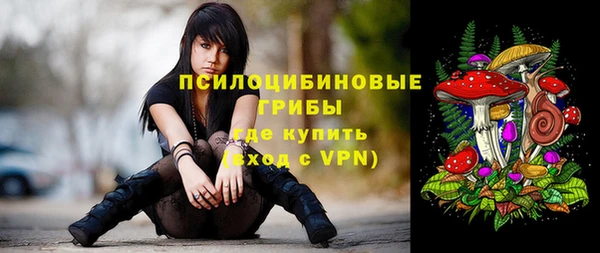 PSILOCYBIN Навашино