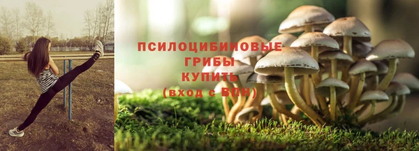 прущие крисы Нея