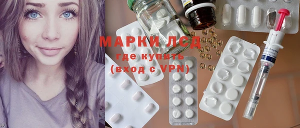прущие грибы Наволоки