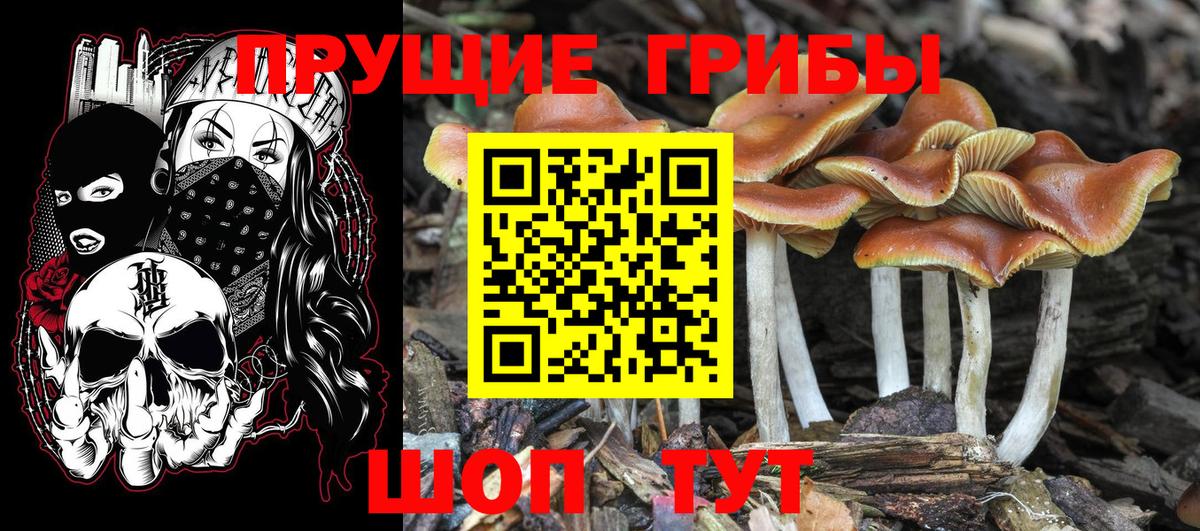 Псилоцибиновые грибы мухоморы  Ульяновск 