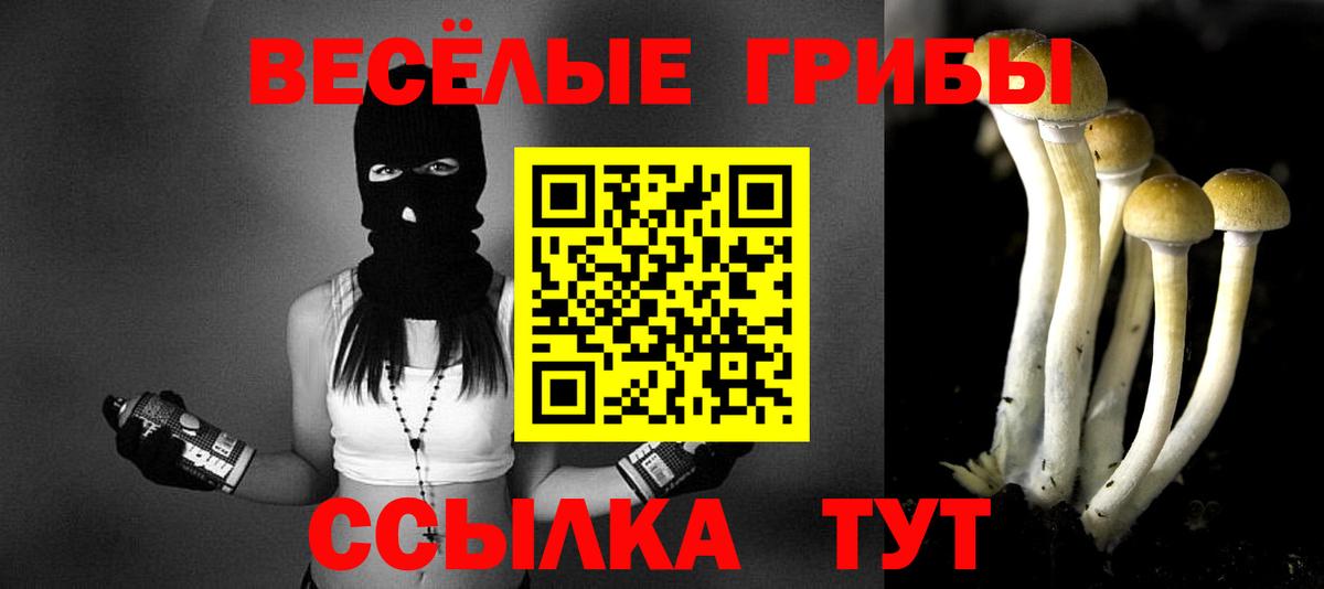 Псилоцибиновые грибы мухоморы Ульяновск